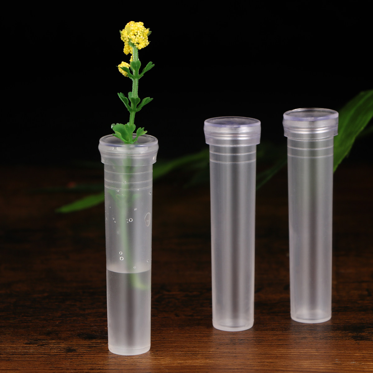 50Pcs Small Compact Flower Wat - The Florist Supply บทวิจารณ์และราคา