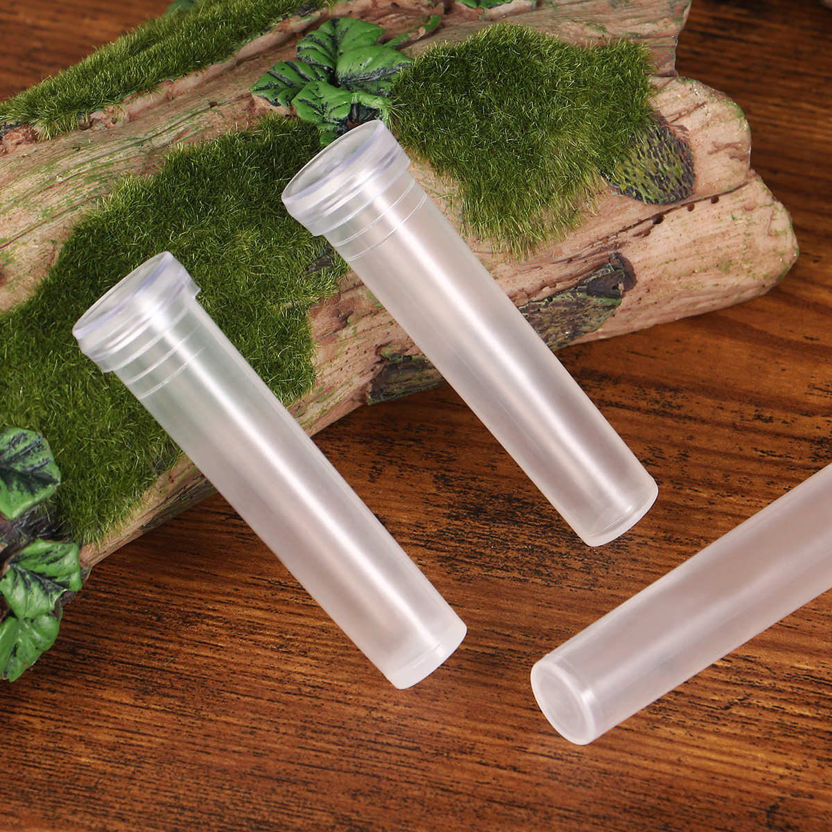 50Pcs Small Compact Flower Wat - The Florist Supply บทวิจารณ์และราคา