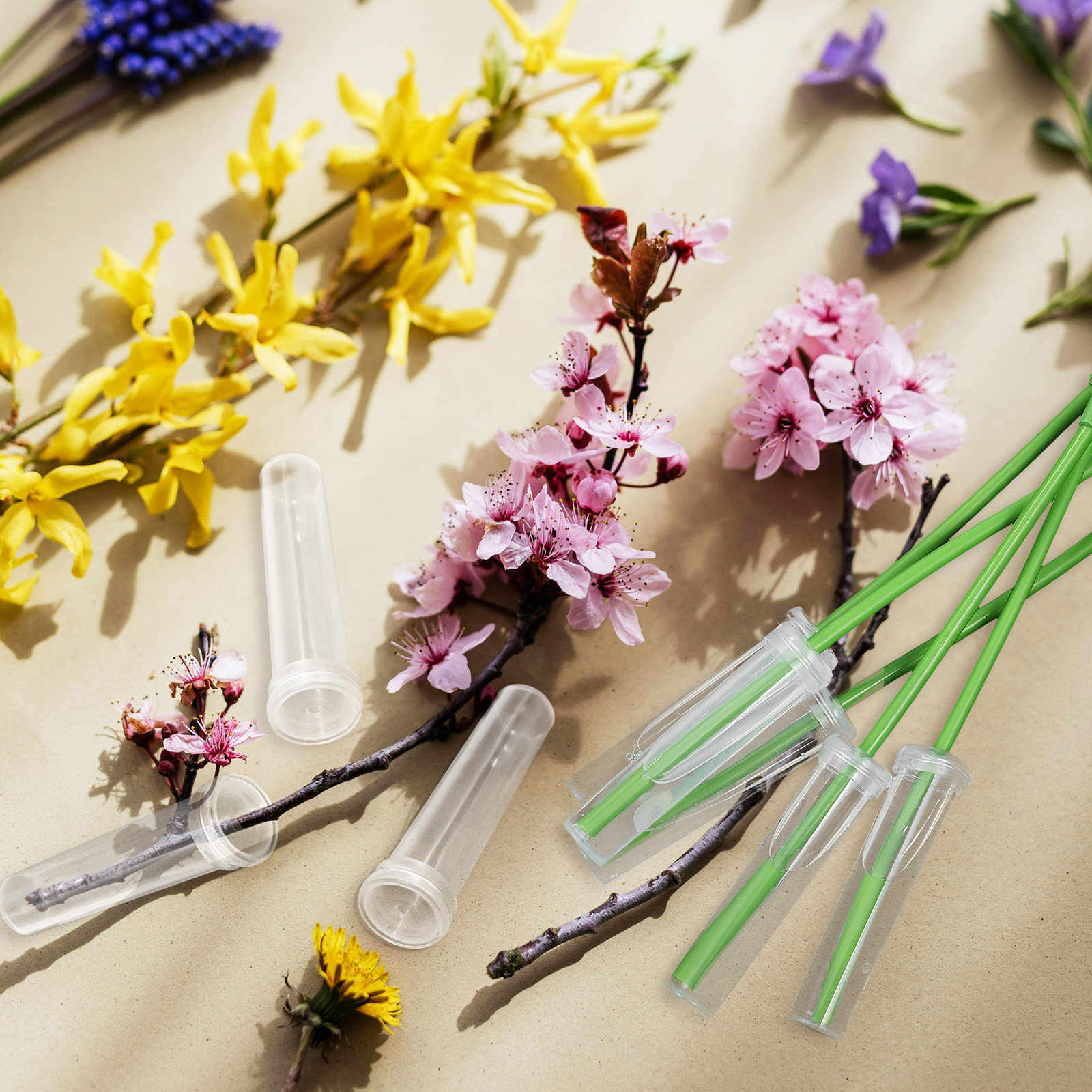 100Pcs Flower Water Tubes Univ - Easy Florist Supply บทวิจารณ์และราคา