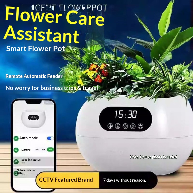 Ai Intelligent Flowerpot Autom - Flower Supplies บทวิจารณ์และราคา